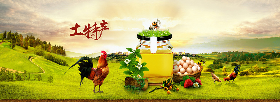 綠色沃土育鮮果 土特產(chǎn)農(nóng)產(chǎn)品中的綠色食品種植之道